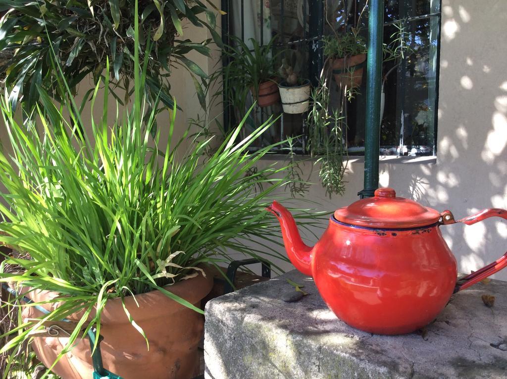 Casa Ruchi 1893 Bed and Breakfast Tigre Εξωτερικό φωτογραφία