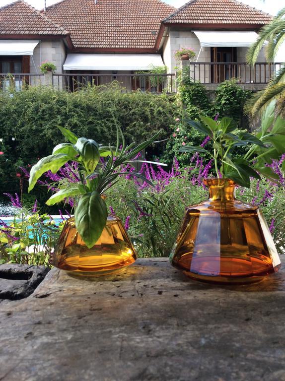 Casa Ruchi 1893 Bed and Breakfast Tigre Εξωτερικό φωτογραφία