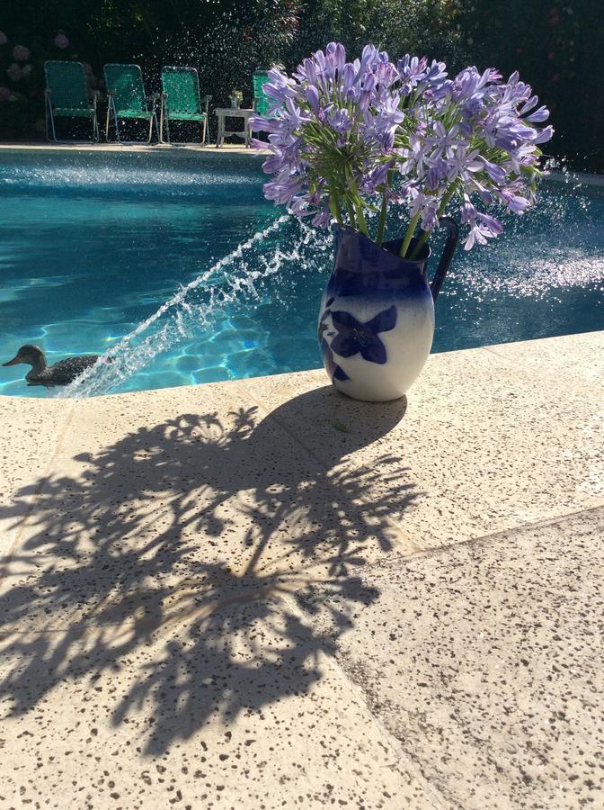 Casa Ruchi 1893 Bed and Breakfast Tigre Εξωτερικό φωτογραφία