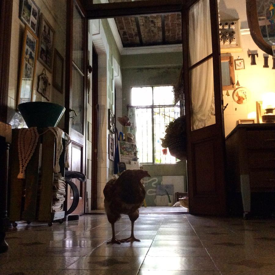 Casa Ruchi 1893 Bed and Breakfast Tigre Εξωτερικό φωτογραφία