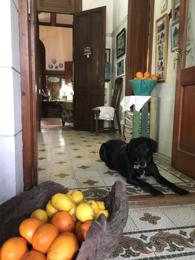 Casa Ruchi 1893 Bed and Breakfast Tigre Εξωτερικό φωτογραφία